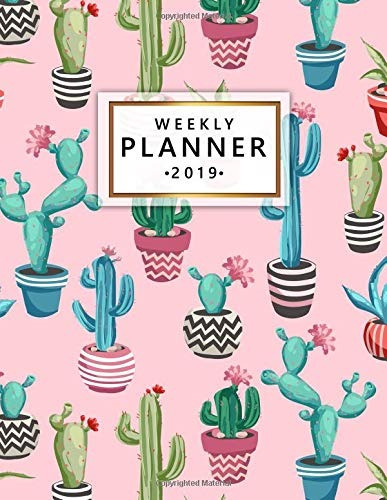 Weekly Planner 2019 Cute Cactus Cartoon Weekly And Monthly O