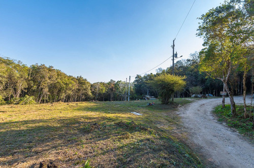Imagem 1 de 30 de Chácara - Residencial - 936672