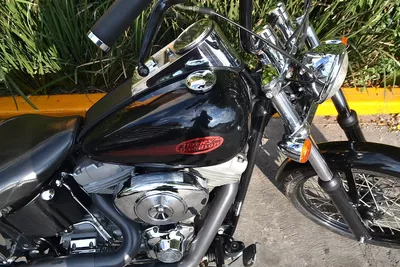 Impecable Harley Davidson Softail Standar 1450cc