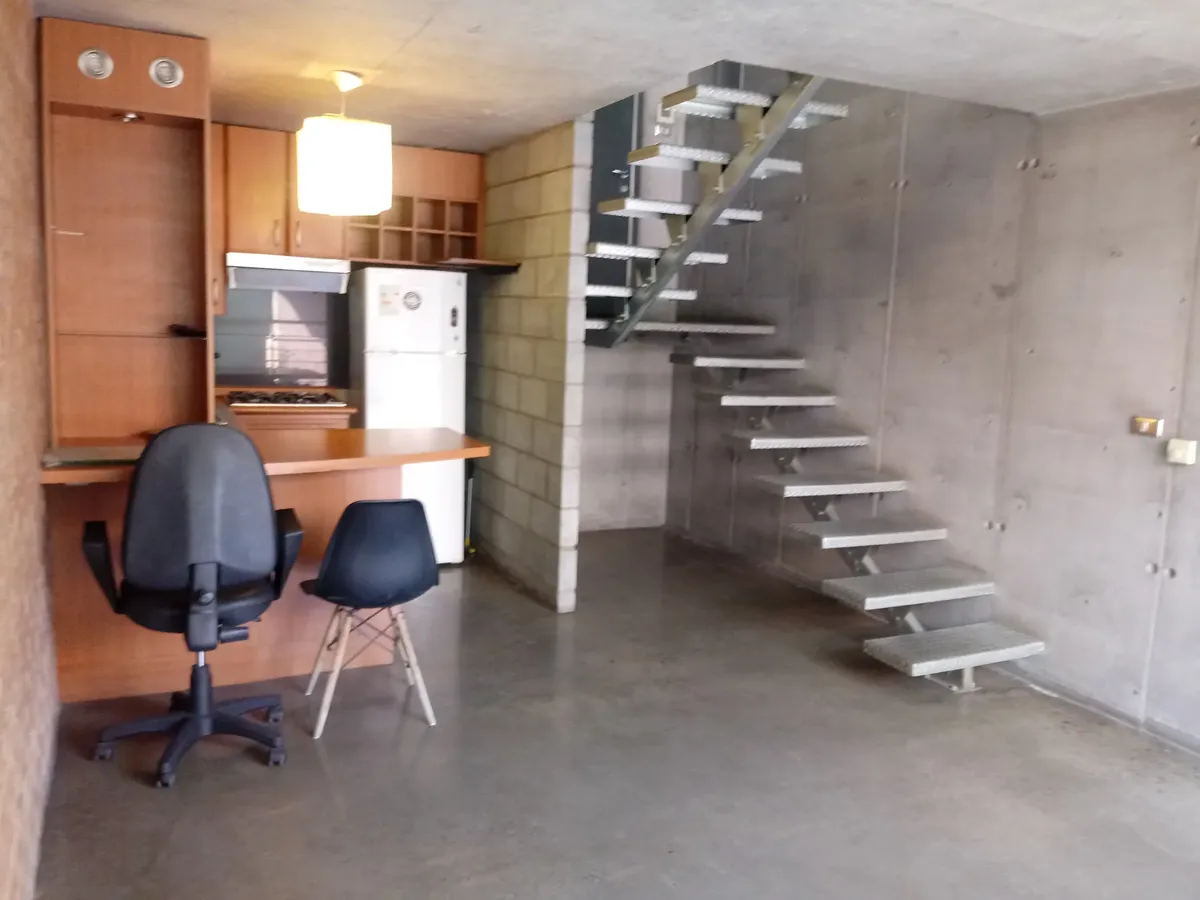Imagen 3 de 15 de Departamento Loft, Amplio, Con Terraza