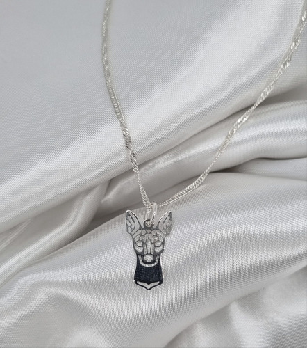 Dije Xoloitzcuintle Minimalista + Cadena En Plata Ley 925