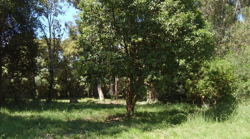 Imagen 2 de 3 de Terreno En Venta En Esteban Echeverria