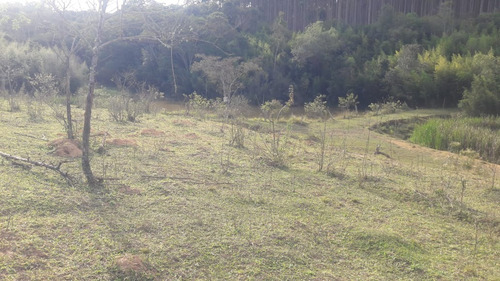 Imagem 20 de 28 de Sítio 18 Alqueires E Meio, 3 Tanques Com Peixe, Nascentes, Casa Sede, 3 Casas Caseiro, Pasto - St00099 - 69894169