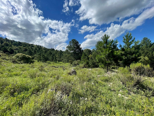 Se Vende Lote De 4 Hectareas En San Clemente