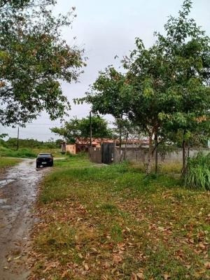 Imagem 4 de 5 de Terreno Lado Praia Medindo 130 Mts Em Itanhaém Litoral Sul