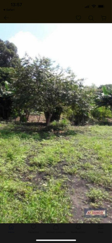 Imagem 4 de 8 de Área De 6000 M2 (3 Lotes) Próximo Ao Aeroporto Internacional