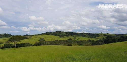 Imagem 15 de 26 de Fazenda Rural À Venda, Zona Rural, Garça. - Fa0003