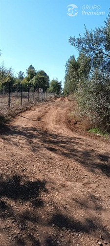 Parcela Con Espacio Para Almacenamiento En Arriendo, Parral