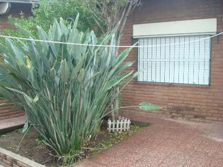Imagen 11 de 14 de Casa Para 2 Familias En Venta En Moron Sur