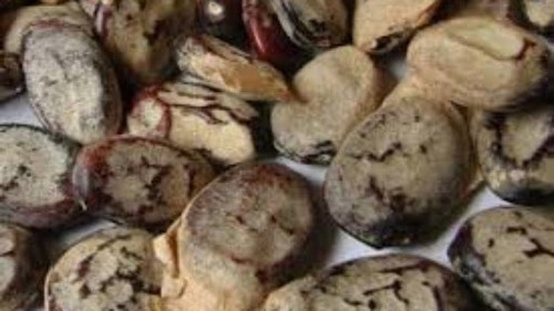 Emburana Sementes Para Chá 100 Gr