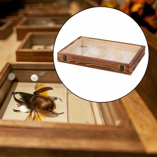 . Marco De Imagen De Baja De Baja Sombra Caja De Mesa Marrón