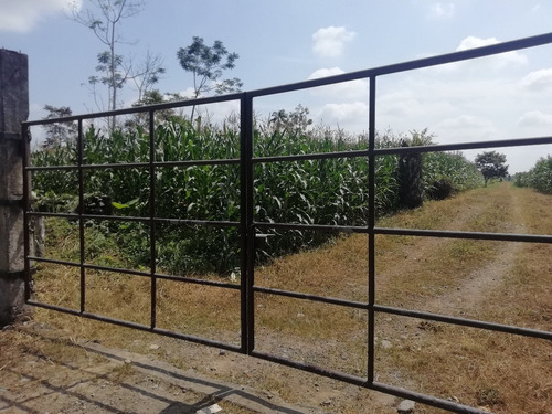 Imagen 10 de 22 de Vendo Hermosa Hacienda