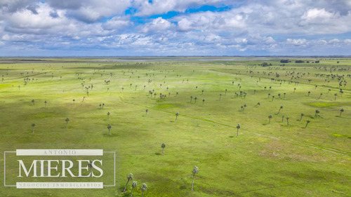 Campo En Rocha Ganadero Agrícola 125ha (ref: Atm-7988)