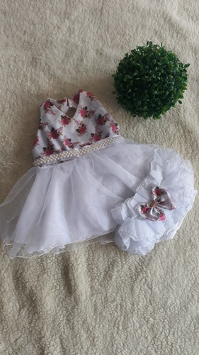 Vestido Com Calcinha Bunda Rica 2 Vestidos Um Do Preço