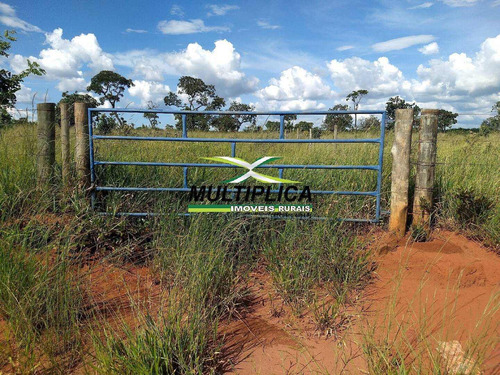 Chácara À Venda Uberlândia 40.000 M² Por R$ 260.000 E Parcela Financiamento - 395