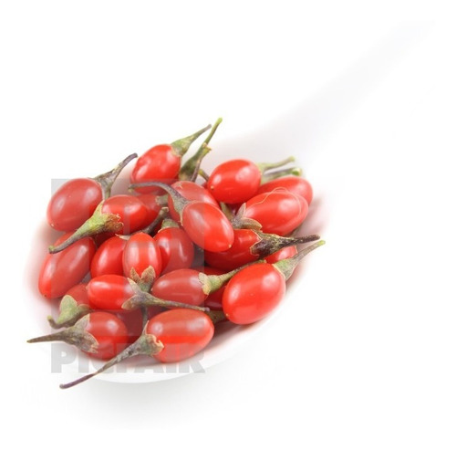 Goji Berries Variedade Superior Nq-1 Fruta Sementes P Mudas