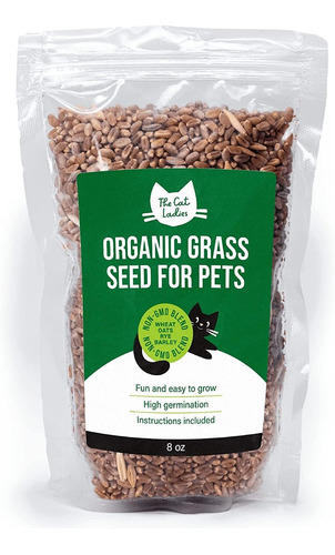100% Organic Seed Grass Gato (no Gmo).