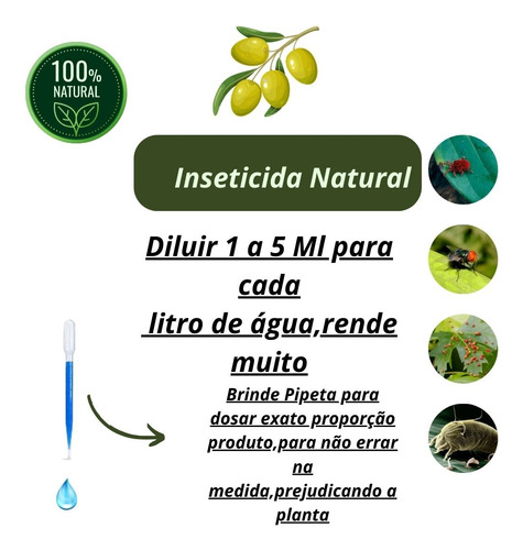 Óleo De Neem Nim Concentrado Puro Extrato 1 + Pulverizador