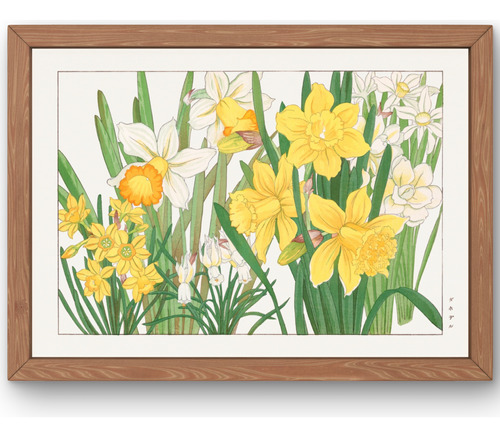 Lamina Imprimible Arte Floral Daffodil Seiyo Soka Zufu