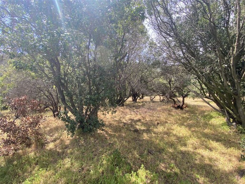 Ex Fundo La Punta Sector Cordillera (75869)