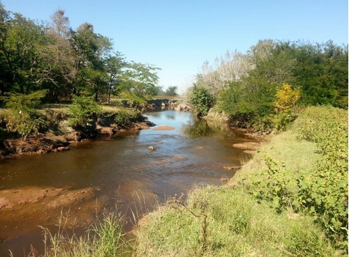 Imagen 8 de 23 de Oportunidad Campo En Zavalla
