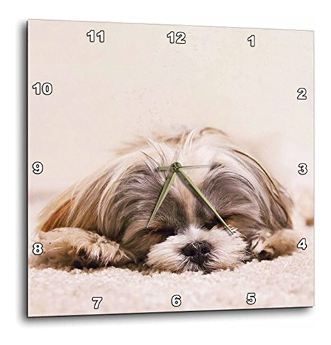 Rinapiro  Perros  Shih Tzu Durmiendo Mejor Amigo  Relojes De