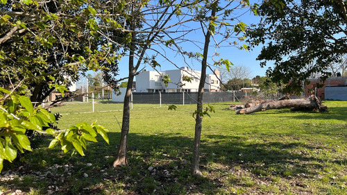 Lotes En Venta San Carlos, La Plata 149 Y 42, La Plata - 9.85 X 28.0m