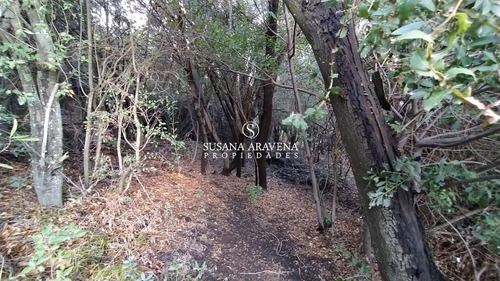 Imagen 6 de 14 de Susana Aravena Propiedades Terreno - San Martin De Los Andes
