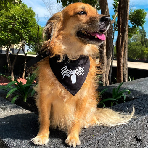 Vulpez Kit D 3 Bandanas Perro Personalizada Paliacate Collar