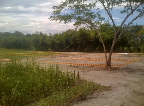 Lote En Venta En Guamo Vendo O Permuto