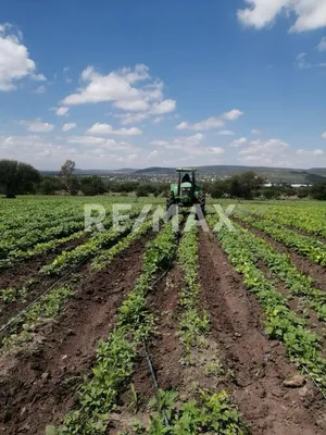 Terreno en venta
