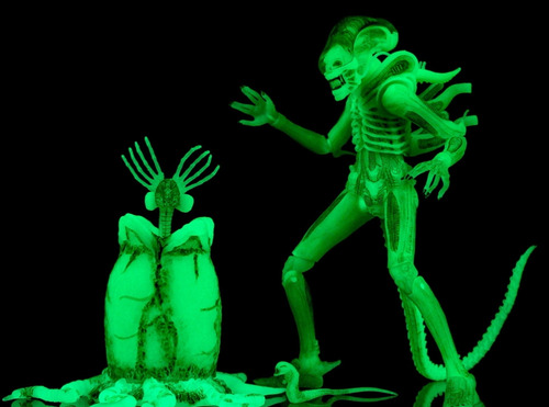 Alien Neca Glow In They Dark Predator 