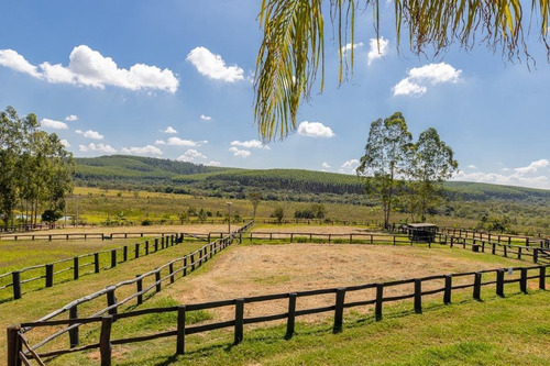 Imagem 26 de 30 de Fazenda À Venda No Bairro Sarapuí - Sarapuí/sp - O-8420-17443