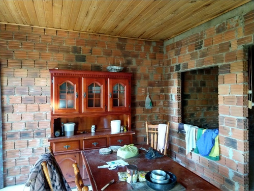 Chácara 20.000 M² - Lomba Grande - Novo Hamburgo - Rs - 1819 - 32578114