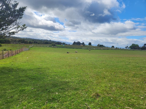 Campo En Venta La Localidad De Fresia