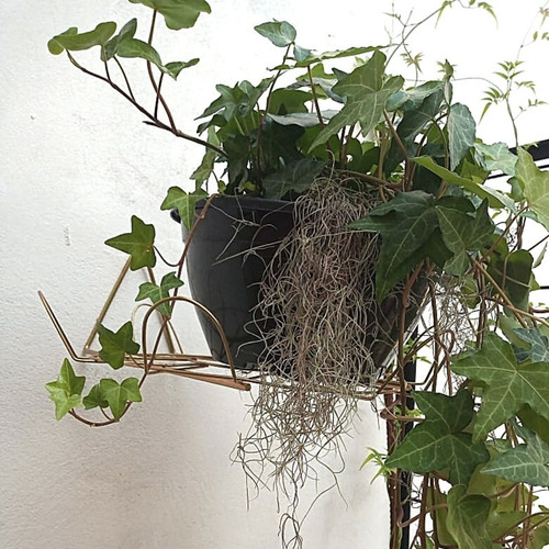 Suporte Pendurar Vaso De Planta Parede Margarida Prato Médio