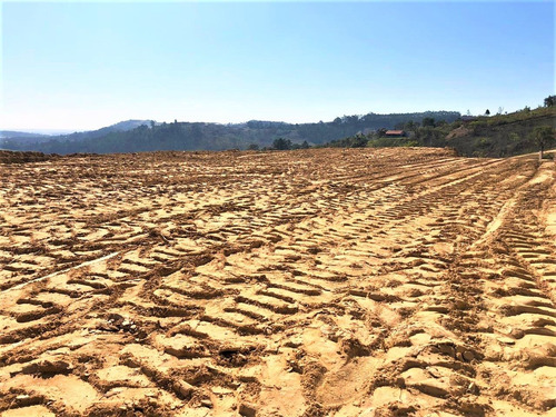 Imagem 12 de 14 de Lindo Terreno.