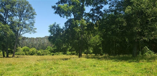 Imagen 16 de 16 de Agrícola En Venta En Lago Ranco