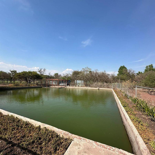 Magnífico Rancho Ganadero Con Excelentes Instalaciones Sup. 25 Hectáreas.