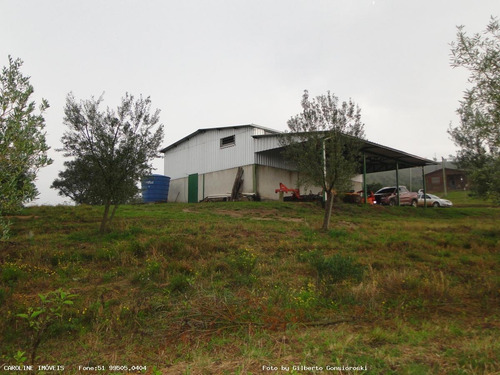 Imagem 6 de 15 de Oportunidade Para Investidor Para Venda Em Barra Do Ribeiro, Alto Douradilho - Barra Do Ribeiro - Rs, 6 Dormitórios, 1 Suíte, 5 Banheiros, 5 Vagas - 4014_1-2043950