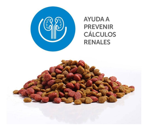 Gatarina Mirringo Original 1 Kg 5$ 4x18$ Saco Sellado 60$
