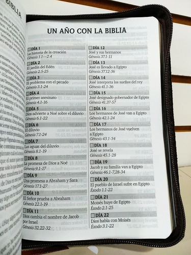 Imagen 10 de 10 de Biblia Rvr1960 Letra Grande Imit Piel Café Con Cierre/índice