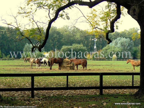 Estancia Benquerencia Farm Club - San Miguel Del Monte - Pcia De Buenos Aires