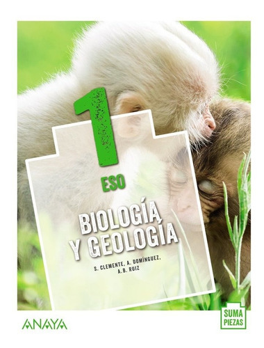 Biologãâa Y Geologãâa 1., De Clemente Roca, Silvia. Editorial Anaya Educación, Tapa Blanda En Español