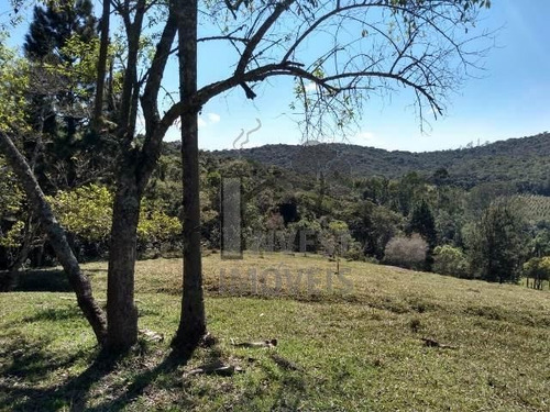 Cód 2792 - Excelente Sitio Com 9 Alqueires, Sendo 5 Alqueire - 2792