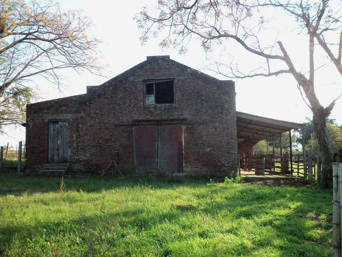 Muy Buen Campo Con Costa Al Río Negro