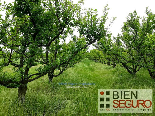 Chacra De 8,4844 Hás En Venta En Juanicó
