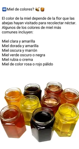 Miel De Abeja (apicultura).