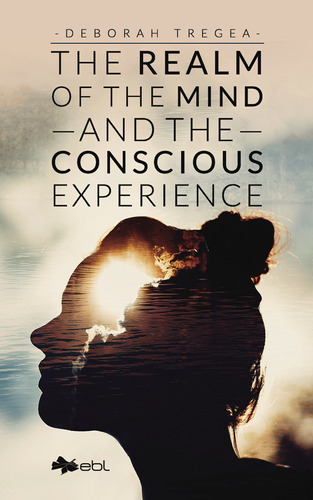 The Realm Of The Mind And The Conscious Experience