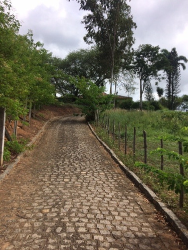 Ótimo Para Minha Casa Minha Vida Ou Lotear, Granja 3,3 Hec, Paudalho, Aceito Imóvel Ou Carro - Gr00014 - 67815598